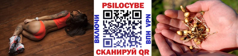 Галлюциногенные грибы MAGIC MUSHROOMS  нарко площадка состав  Балахна  блэк спрут как войти 