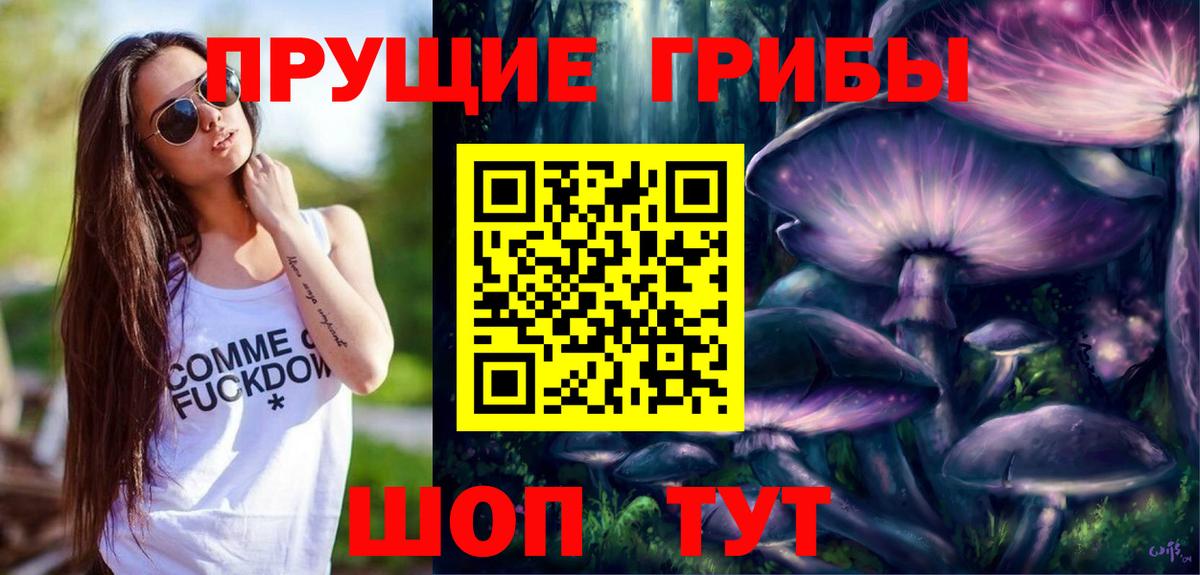 Галлюциногенные грибы Psilocybine cubensis Балахна