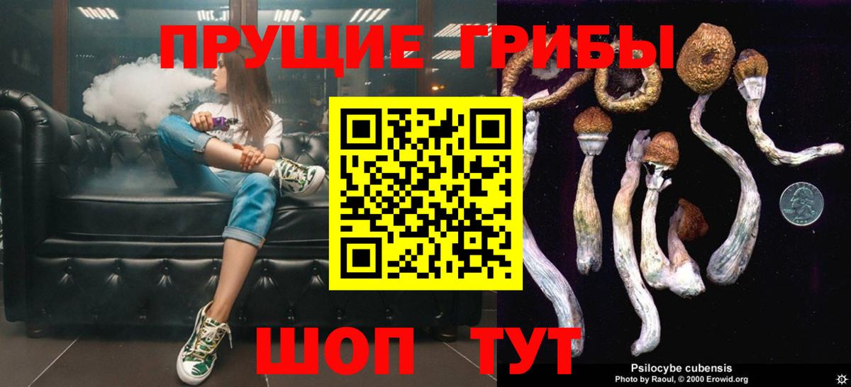 Галлюциногенные грибы мицелий  Вход с VPN  Псилоцибиновые грибы Cubensis  Балахна 
