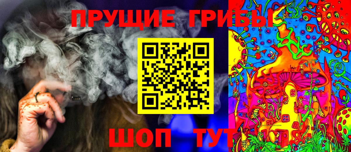 Галлюциногенные грибы Psilocybe  Псилоцибиновые грибы ЛСД  Балахна 