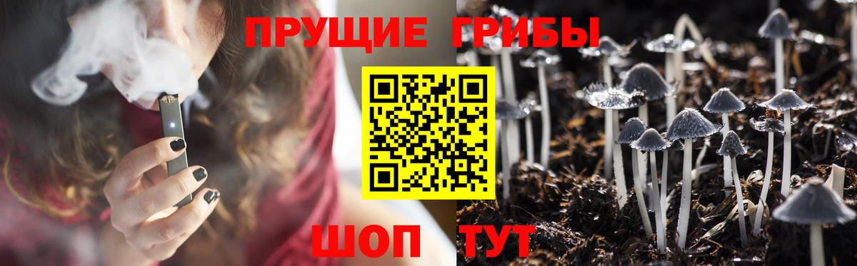 Псилоцибиновые грибы Psilocybine cubensis Балахна